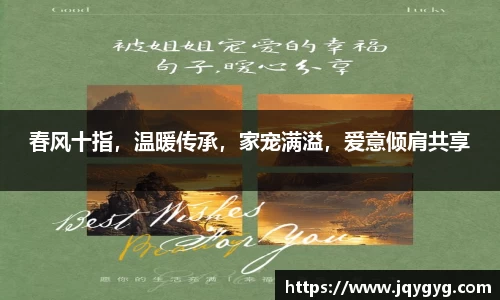 VSport-胜利因您更精彩