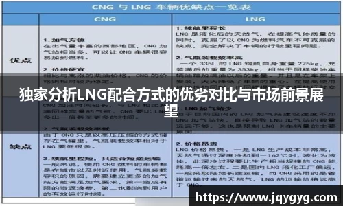 独家分析LNG配合方式的优劣对比与市场前景展望