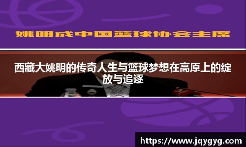 VSport-胜利因您更精彩
