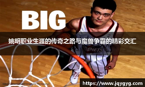 VSport-胜利因您更精彩
