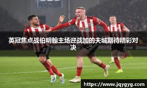 VSport-胜利因您更精彩
